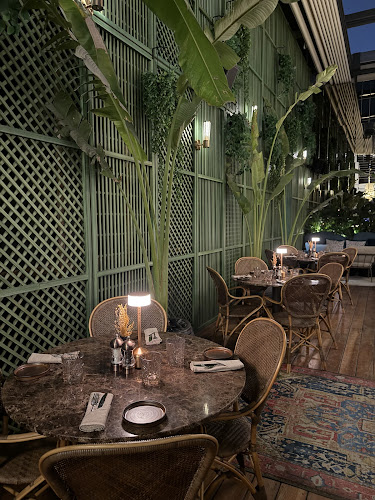 NOX - City Walk Dubai - Dubai