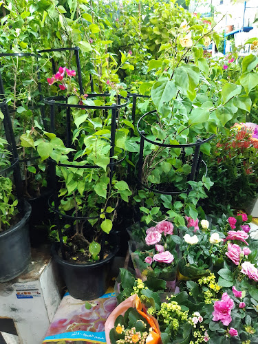 Hamad Khalid Agricultural Co LLC - Dubai