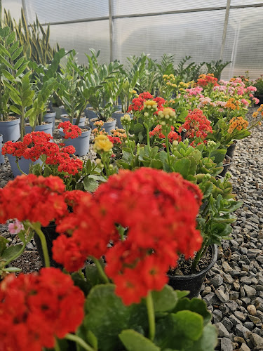 BABA FARM HOUSE - Hospitality and gastronomy