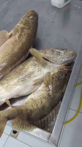 Opinii despre Al Sila Mina Fish Market în Abu Dhabi - Hospitality and gastronomy