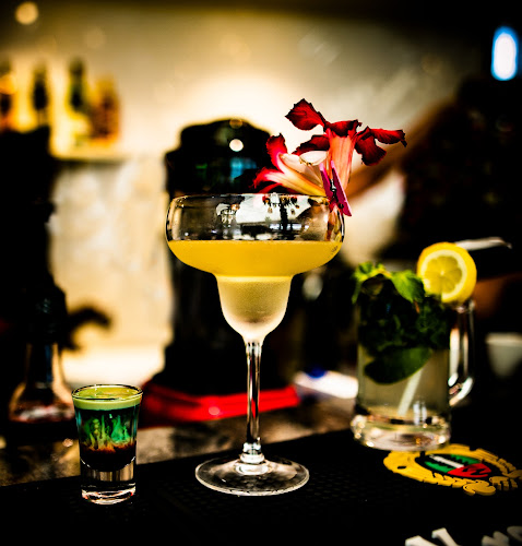 Bravo Lounge & Restaurant - Hospitality and gastronomy