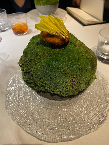 Comentarii opinii despre Trèsind Dubai