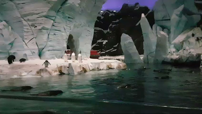 789G+W3G - Salah Al Din St - Deira - Dubai