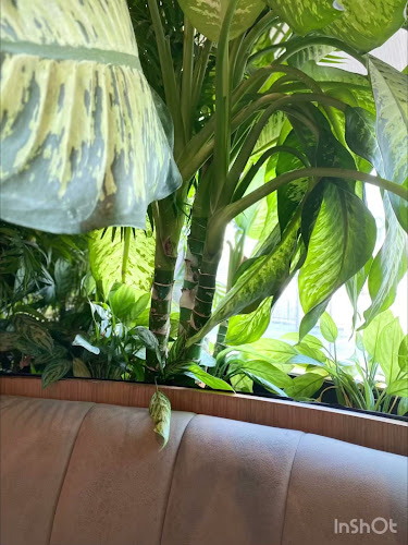 Opinii despre Risen Café and Artisanal Bakery, Dubai Marina în Dubai - Hospitality and gastronomy