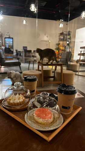 Comentarii opinii despre Meowtropolis Cat Cafe