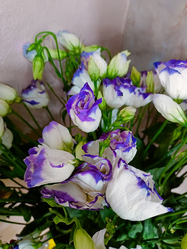Comentarii opinii despre Loret Flowers & gifts لوريت للزهور والهدايا العين