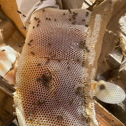 عسل طبيعي عسل سدر وعسل سمر 100% honey.rak