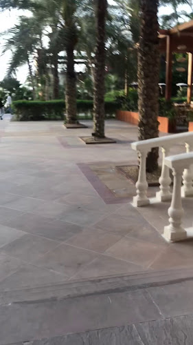 Comentarii opinii despre Bussola