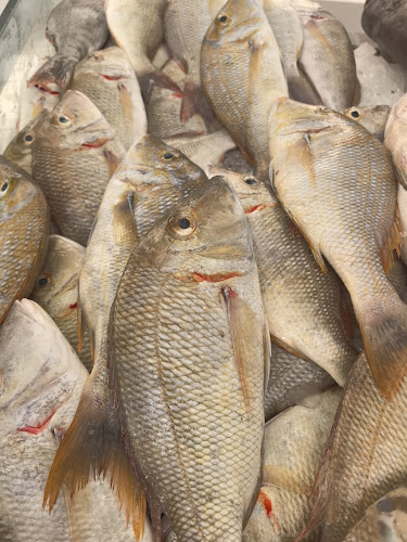 Jawaher Fish Cooking - Hospitality and gastronomy