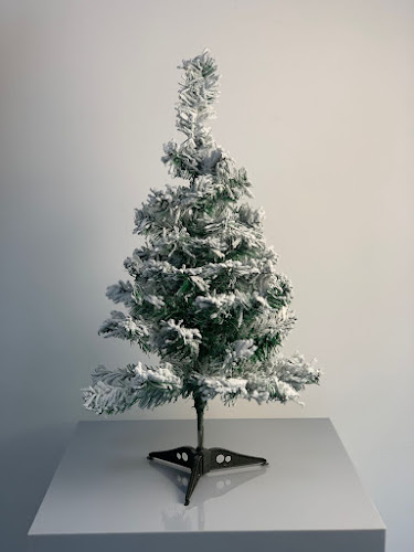 Wardi Flowers - Dubai