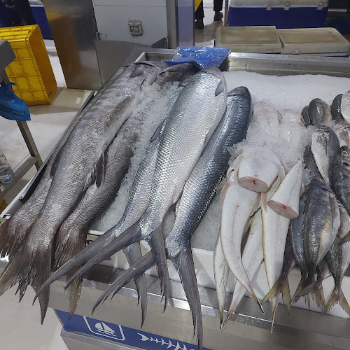 RASHID AL SHAMSI FOODSTUFF TRADING LLC