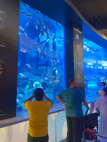 Joe's Crab Shack - Hospitality and gastronomy