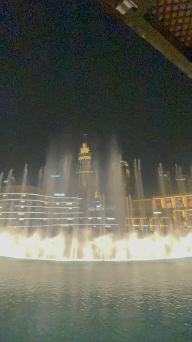 Comentarii opinii despre Bice Mare Restaurant