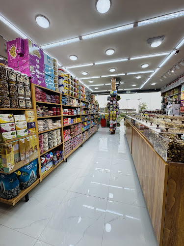 Sharjah-Kalba Rd - Mleiha 2 - Sharjah