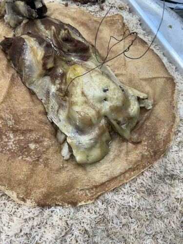 مطبخ ربوع الخليج - Hospitality and gastronomy