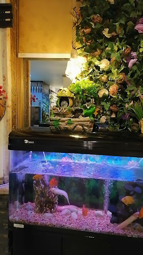 Opinii despre Waraq Alward Restaurant - مطعم ورق الورد în Abu Dhabi - Hospitality and gastronomy