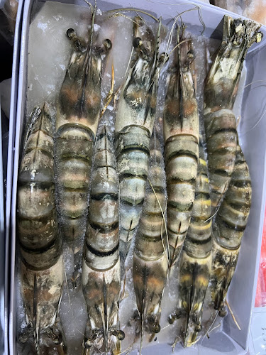 Mohsen&Sajwani Seafood Trading LLC