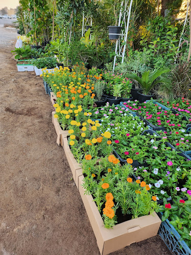 RR FOLWERS - Hospitality and gastronomy