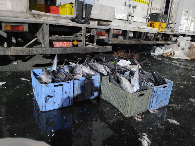 Fish market (wholesale section)in WaterFront market - Dubai