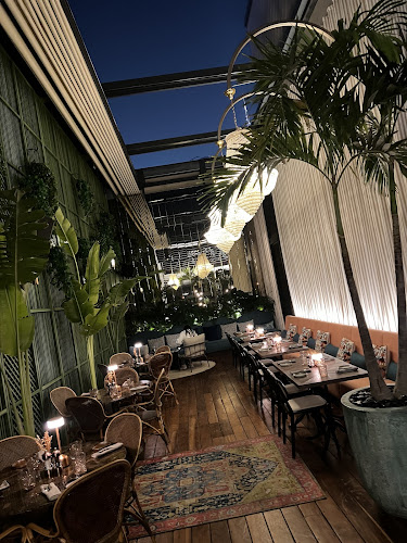 NOX - City Walk Dubai - Hospitality and gastronomy