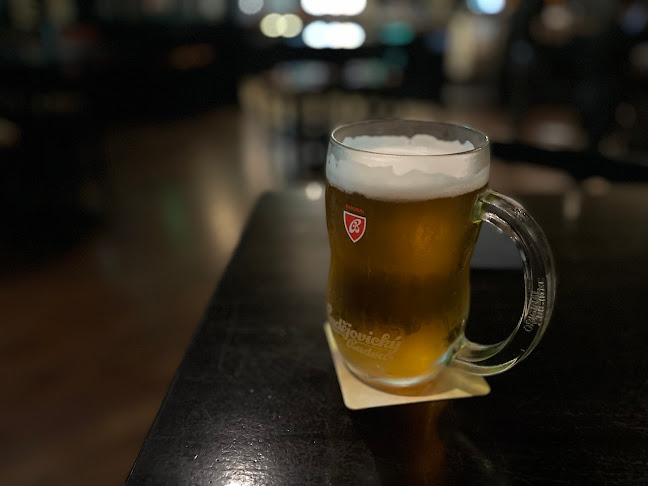 Fado Irish Pub & Restaurent - Hospitality and gastronomy