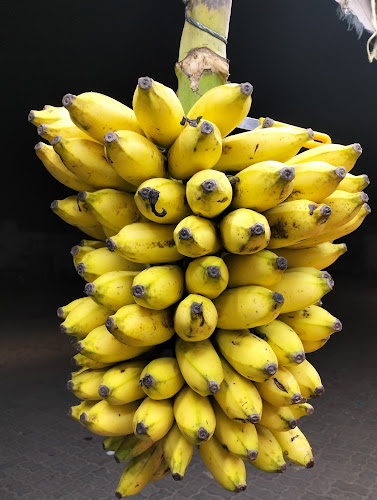 Comentarii opinii despre HAJI SULTAN FRUITS AND VEGETABLES