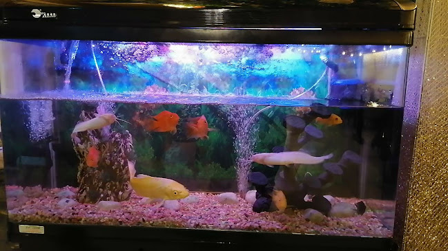 Waraq Alward Restaurant - مطعم ورق الورد - Abu Dhabi