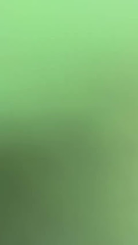 Opinii despre Lazio'z Pizza - Pizza Restaurant in Al Karama în Dubai - Hospitality and gastronomy