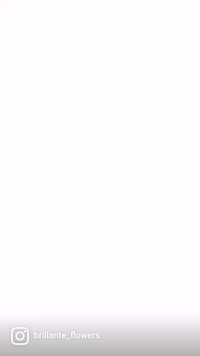 Brillante Flowers | Florist | Flower Shop in Abu Dhabi - Hospitality and gastronomy