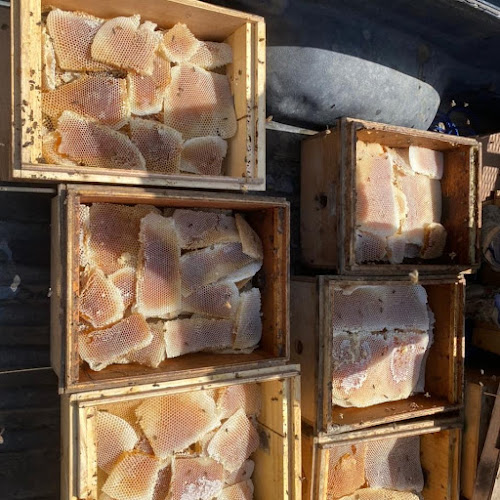 عسل طبيعي عسل سدر وعسل سمر 100% honey.rak - Ras Al-Khaimah