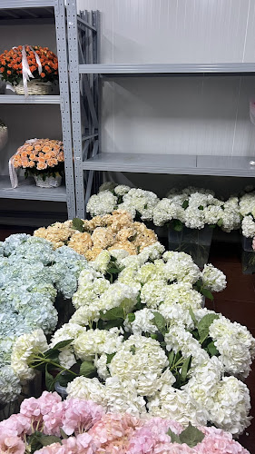 Aba Avenue, warehouse 30 - Al Quoz - Al Quoz Industrial Area 2 - Dubai