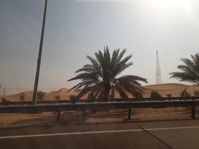 Comentarii opinii despre Arabic Restaurant