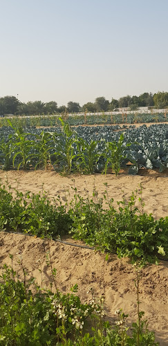 6F69+57M - Unnamed Road - Wadi Alamardi - Dubai