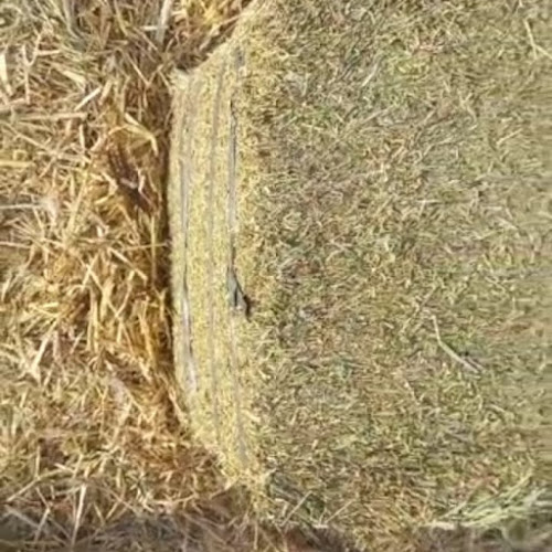 Comentarii opinii despre حلالي لتجارةالاعلاف والمواد الزراعية