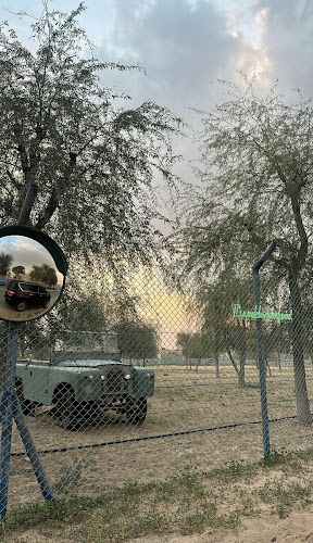 Opinii despre Oryx în Dubai - Hospitality and gastronomy