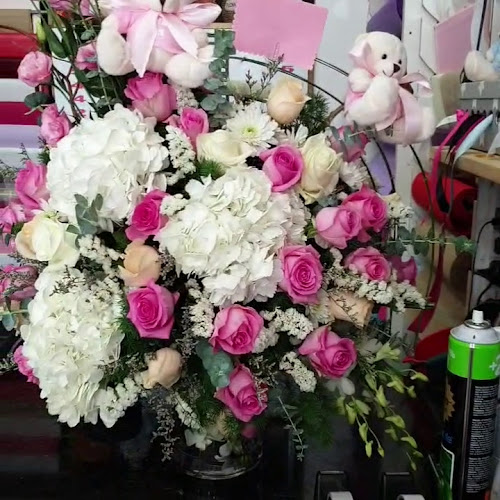 Bldg 235, shop #1, BSHR BIN AMIR ST. 21 Al Manakh area near Kuwait Road Sharjah Bldg 235, shop #1, BSHR BIN AMIR ST. 21 Al Manakh area - near Kuwait Square - Sharjah