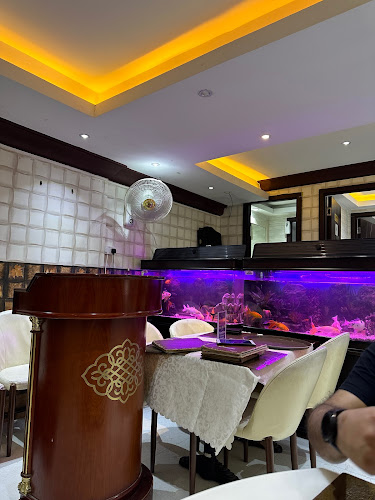 شارع أبو بكر الصديق - Al Owan - Al Nakhil 1 - Ajman