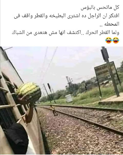 تناتيف للفطائر والمعجنات - Hospitality and gastronomy