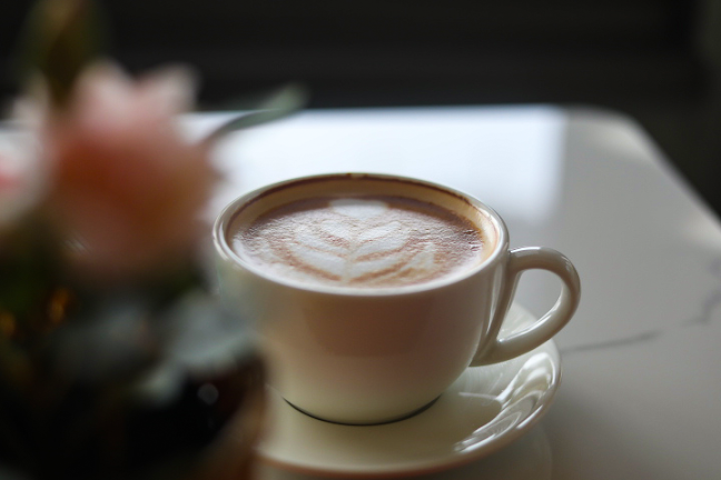 Bravo Lounge & Restaurant - Hospitality and gastronomy