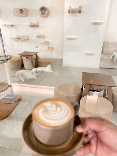 Meowtropolis Cat Cafe - Hospitality and gastronomy
