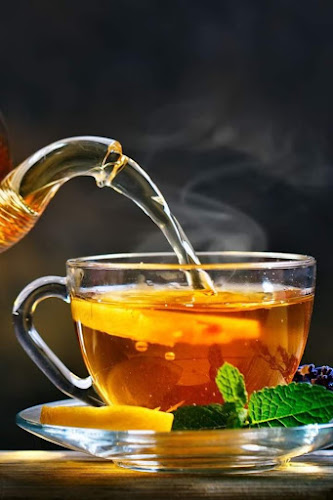 Saleh Restaurant - Hospitality and gastronomy