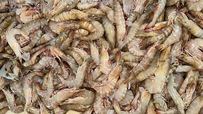 Opinii despre مطعم اسكندراني للأسماك والماكولات البحرية în Ras Al-Khaimah - Hospitality and gastronomy