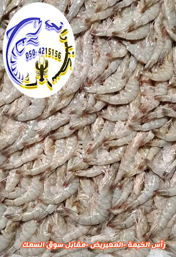 مطعم اسكندراني للأسماك والماكولات البحرية - Hospitality and gastronomy