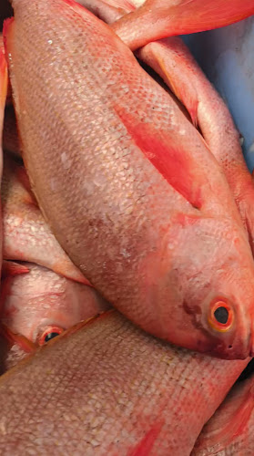 Sheikh Rashid Bin Saeed Al Maktoum St - Free Zone - Ajman