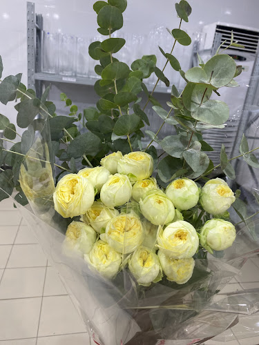 Comentarii opinii despre Empire of Flowers