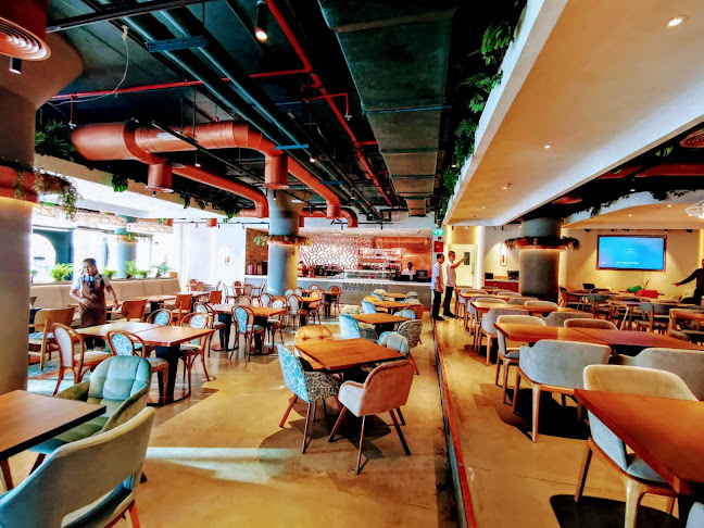 Opinii despre Ayoush Restaurant And Cafe în Dubai - Hospitality and gastronomy