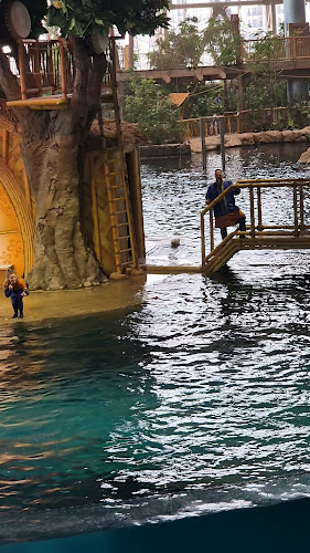 Opinii despre Sea World în Dubai - Hospitality and gastronomy