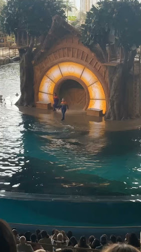 Comentarii opinii despre Sea World