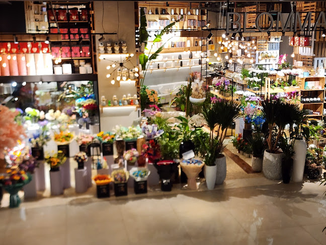 Opinii despre Blomma în Dubai - Hospitality and gastronomy