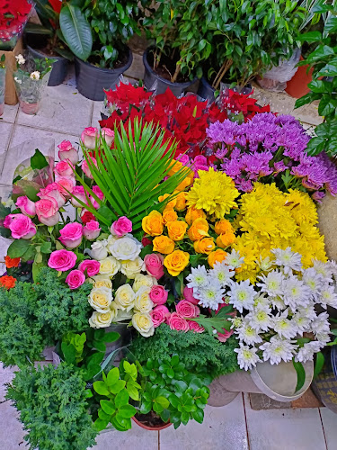 Opinii despre Hamad Khalid Agricultural Co LLC în Dubai - Hospitality and gastronomy